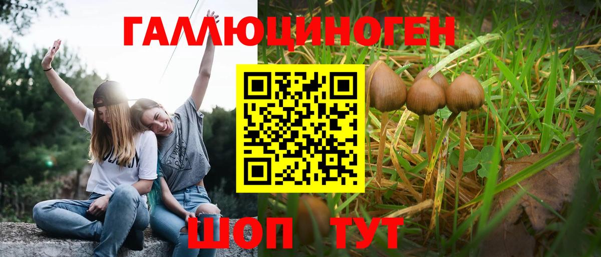 Архангельск  Псилоцибиновые грибы Psilocybine cubensis  где купить   Вход с VPN 