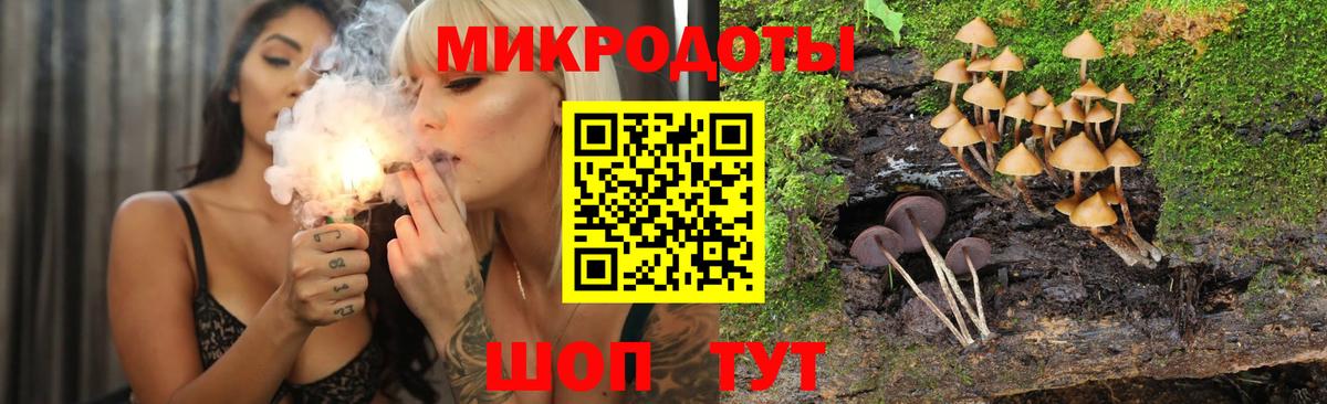 Галлюциногенные грибы мухоморы Архангельск